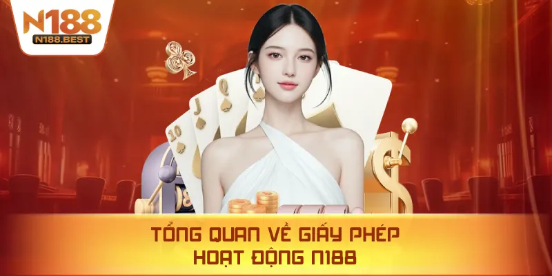Tổng Quan Về Giấy Phép Hoạt Động N188